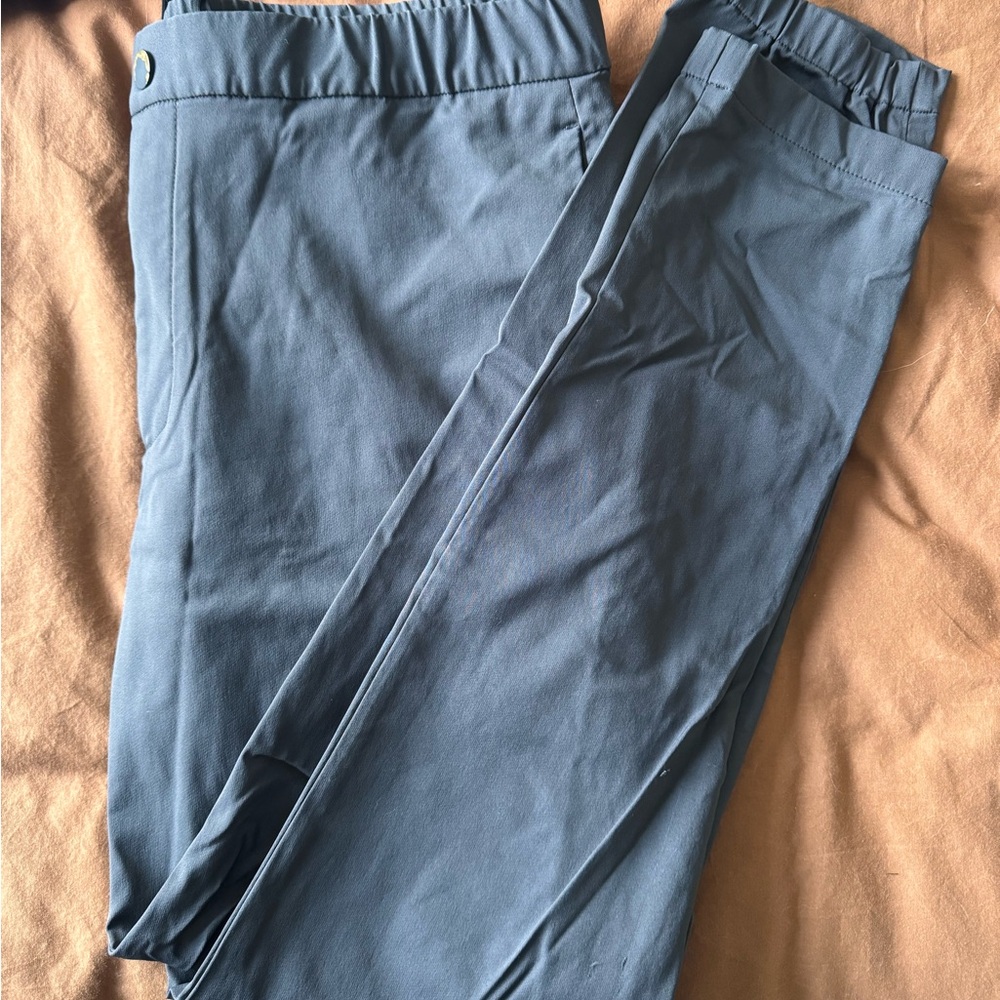 theory Terrance Jogger in Neoteric